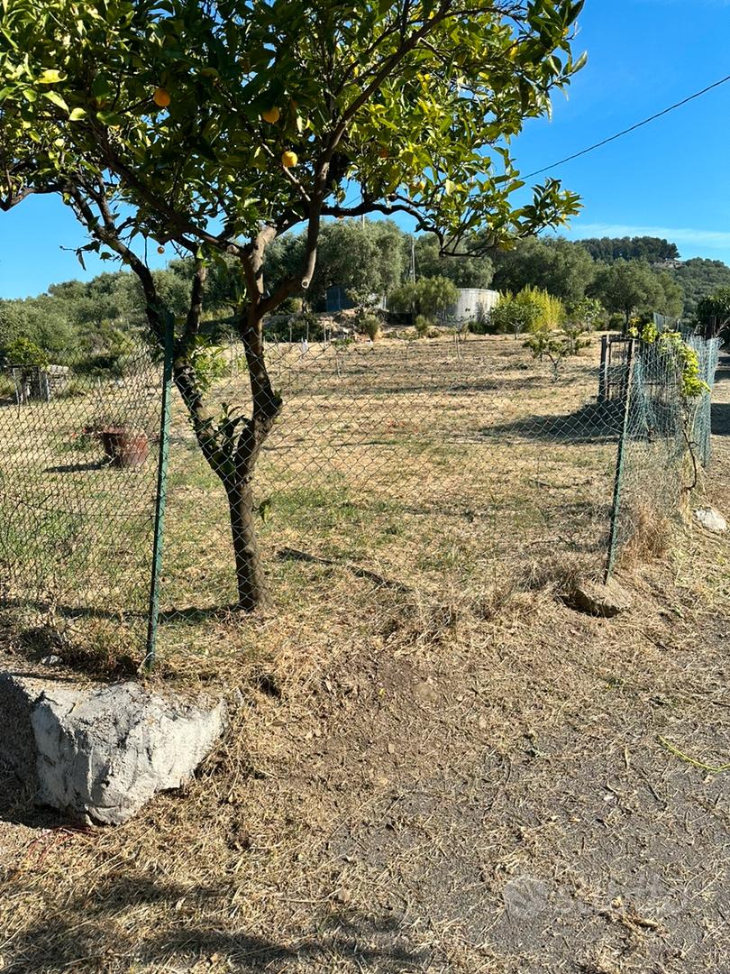 Terreno agricolo con box e Vasca a Civezza - Vista 5