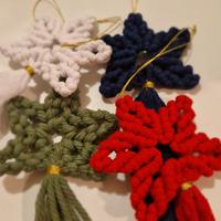 stelle di natale - addobbo 