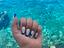 Immagine 5