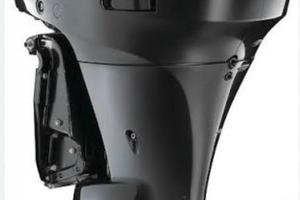 Suzuki DF300 (non funzionante venduto in blocco)