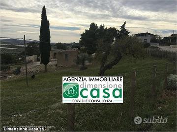Rif.AG13|Azienda agricola Caltanissetta