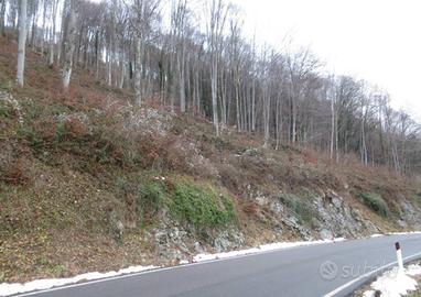 Immobile in asta di 19906 m² a Costa Valle Imagna
