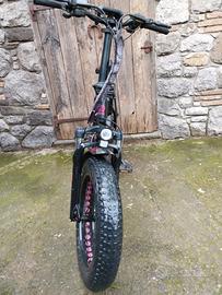 bici elettrica 