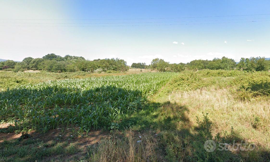 Terreni agricoli /boschivi - Vista 3