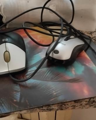 mouse