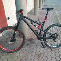 MTB Rose biammortizzata