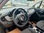 Immagine 11