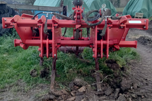 Ripuntatore Maschio Attila