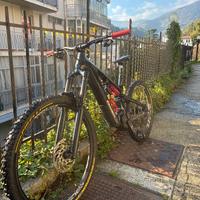 Flyer prox evo x full carbon