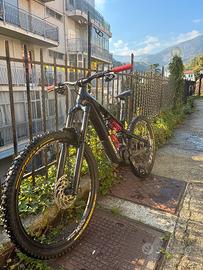 Flyer prox evo x full carbon