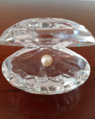 Ostrica Swarovski 