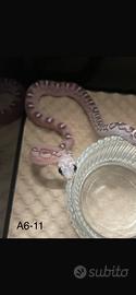 Serpenti del grano baby scaleless - senza squame