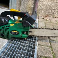 Motosega da Potatura