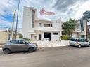 ampia-struttura-con-locale-deposito-e-giardino