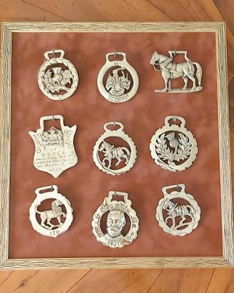 Collezione incorniciata di ottoni per cavalli