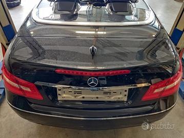 Portellone nudo MERCEDES-BENZ CLASSE E del 2010