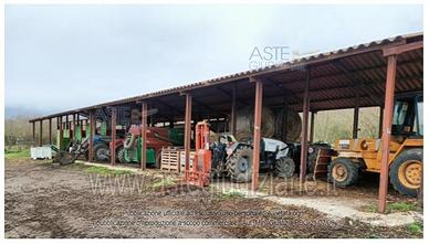 Appartamento Caprarola [A4347817]