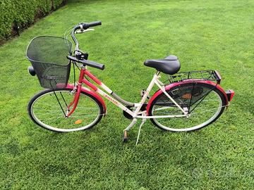 Bicicletta da città con cestino e portapacchi