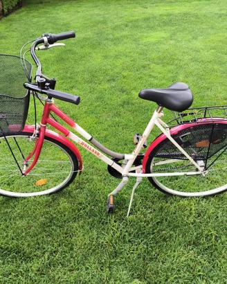 Bicicletta da città con cestino e portapacchi