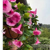 pianta da veranda sintetica 