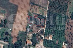 Terreno Agricolo Corchiano [Cod. rif 3221598VCG]