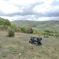 Quad 200cc - Leggi descrizione
