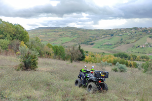 Quad 200cc - Leggi descrizione