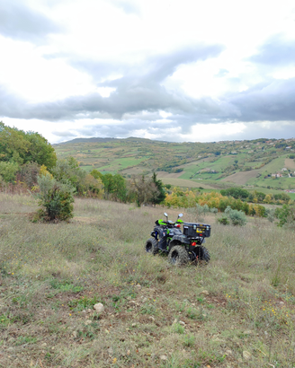 Quad 200cc - Leggi descrizione