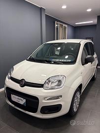Fiat Pandina ICON KM0 PREZZO REALE