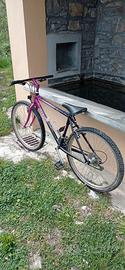 MTB GIANT