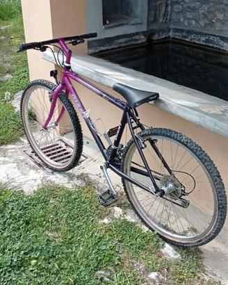 MTB GIANT