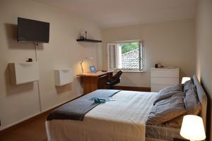 Stanza all-inclusive per studenti e lavoratori