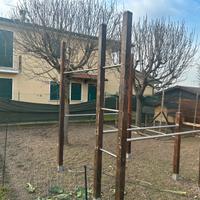 Struttura allenamento corpo libero calisthenics