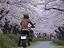 Immagine 5