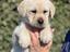 Immagine 28