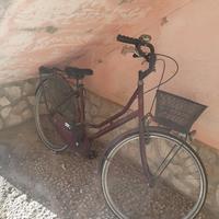 bici da passeggiata 