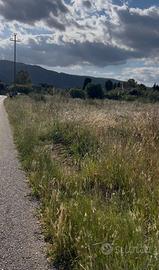 Terreno ingresso Capoterra