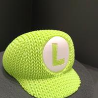 Nintendo super Mario Luigi 