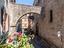 Immagine 20