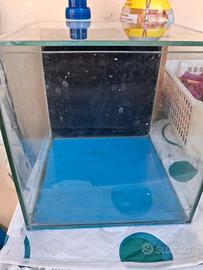 Acquario 10 litri