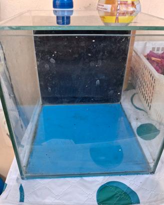 Acquario 10 litri