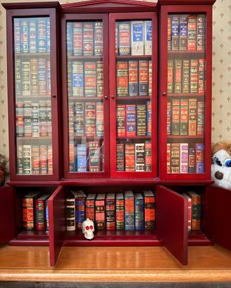 Mini libreria con testi di letteratura