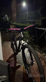 rockrider