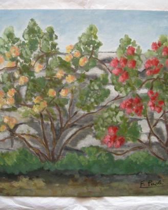 FIORENZA PAOLI - Quadro olio su tavola (40x50)