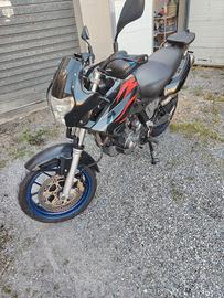 Pegaso 650 anno 2006
