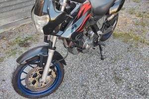 Pegaso 650 anno 2006