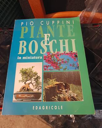 Libro Bonsai.