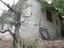 Immagine 4