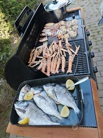 barbecue  campingaz