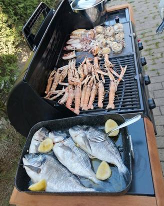 barbecue  campingaz